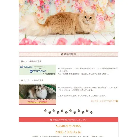 失敗しないための 猫 ブリーダー ホームページ徹底解説！理想の子猫探しを確実に成功させる方法